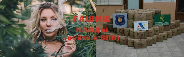 индика Приозерск