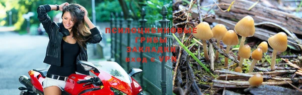 гашишное масло Абинск